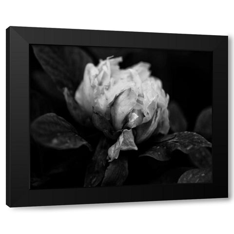 Poetry I Black Modern Wood Framed Art Print by Ling, Tang