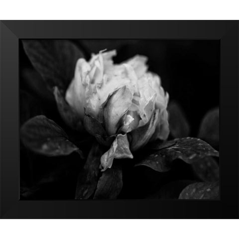 Poetry I Black Modern Wood Framed Art Print by Ling, Tang
