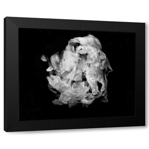 Poetry II Black Modern Wood Framed Art Print by Ling, Tang