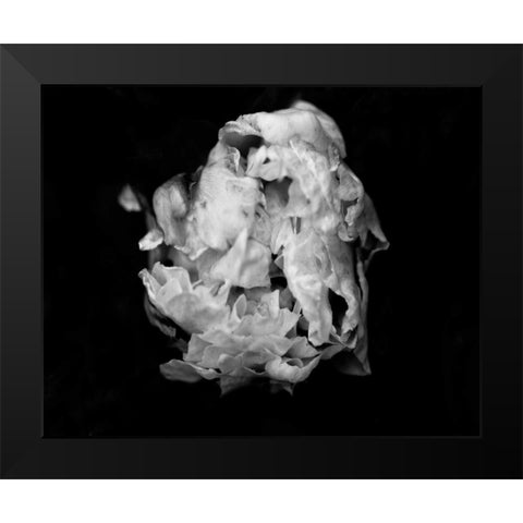 Poetry II Black Modern Wood Framed Art Print by Ling, Tang