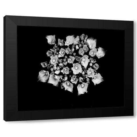 Poetry III Black Modern Wood Framed Art Print with Double Matting by Ling, Tang