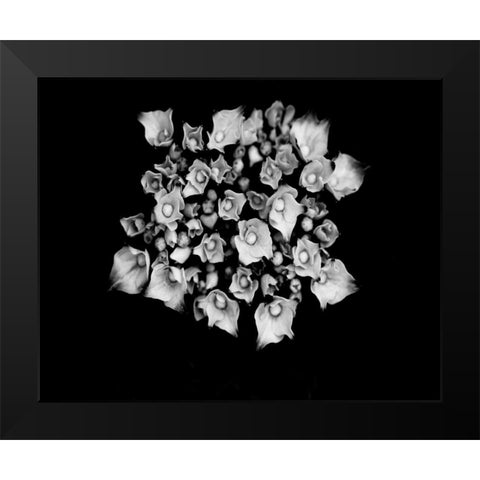 Poetry III Black Modern Wood Framed Art Print by Ling, Tang