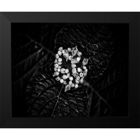 Poetry IV Black Modern Wood Framed Art Print by Ling, Tang