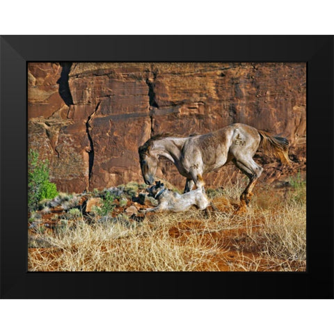 Running Horses I Black Modern Wood Framed Art Print by Drost, David