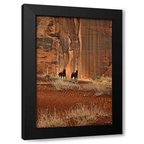 Custom Canyon Dewellers (ASH) Black Modern Wood Framed Art Print with Double Matting by Drost, David