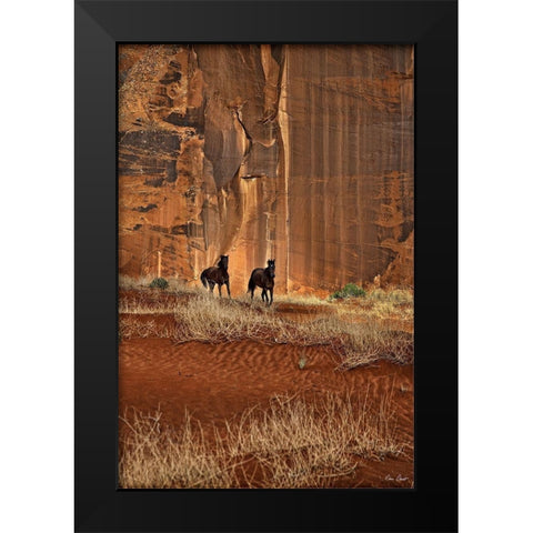 Custom Canyon Dewellers (ASH) Black Modern Wood Framed Art Print by Drost, David
