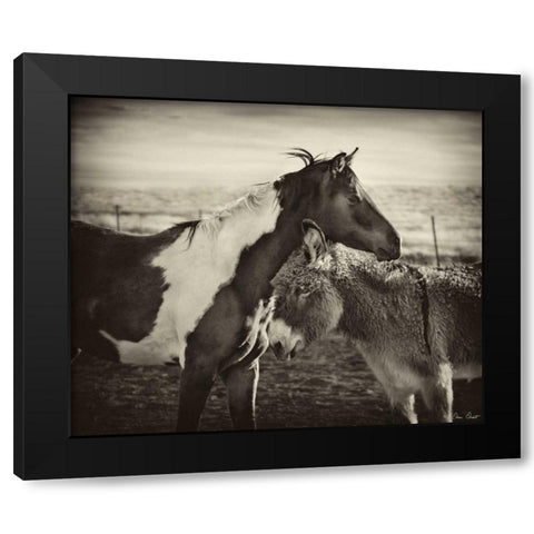 Kissing Horses II Black Modern Wood Framed Art Print with Double Matting by Drost, David