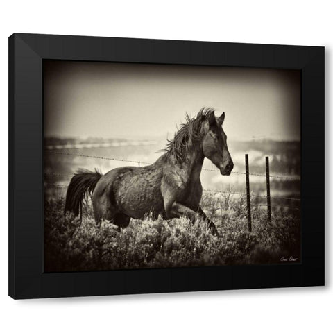 Running Horse Black Modern Wood Framed Art Print with Double Matting by Drost, David