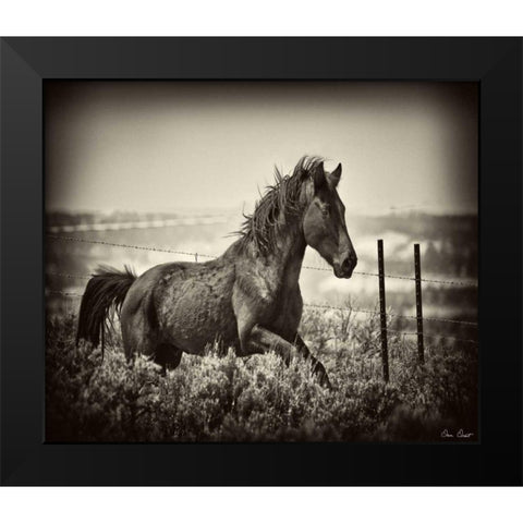 Running Horse Black Modern Wood Framed Art Print by Drost, David