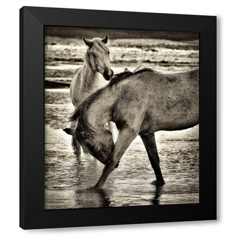 Beach Horses I Black Modern Wood Framed Art Print by Drost, David