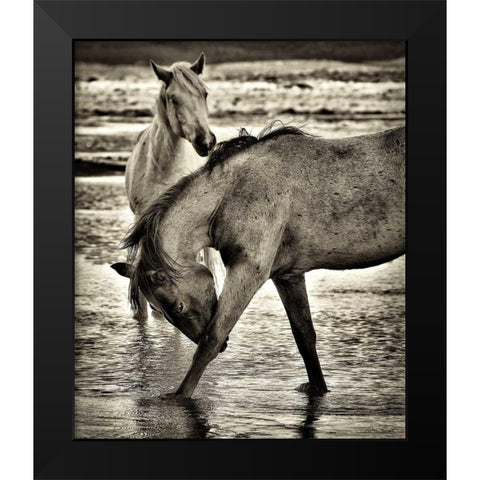 Beach Horses I Black Modern Wood Framed Art Print by Drost, David