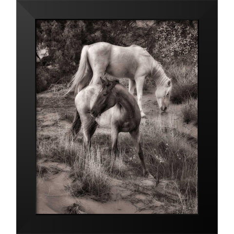 Beach Horses II Black Modern Wood Framed Art Print by Drost, David