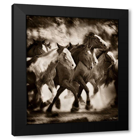 The March Black Modern Wood Framed Art Print with Double Matting by Drost, David