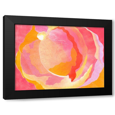 Cabbage Rose III Black Modern Wood Framed Art Print with Double Matting by Roth, Carolyn