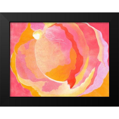 Cabbage Rose III Black Modern Wood Framed Art Print by Roth, Carolyn