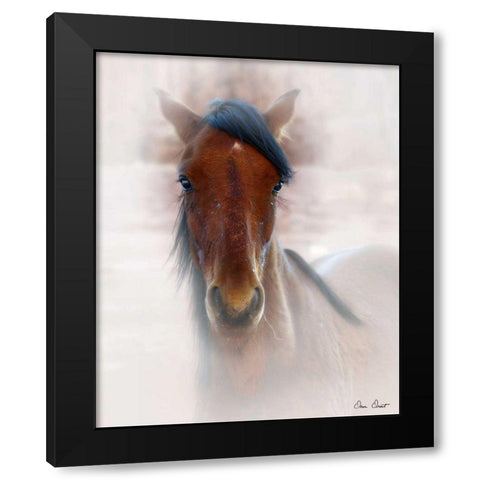 Horse Portrait I Black Modern Wood Framed Art Print with Double Matting by Drost, David