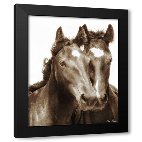 Horse Portrait III Black Modern Wood Framed Art Print by Drost, David