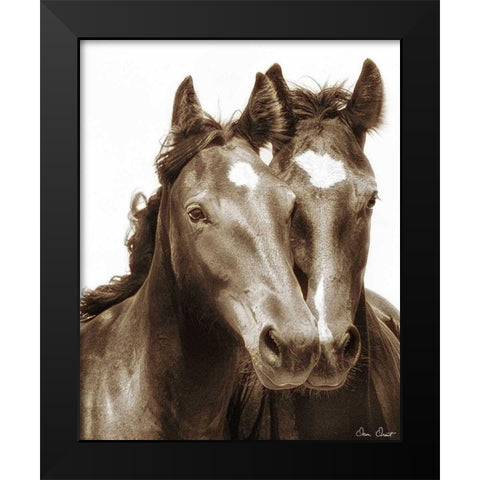 Horse Portrait III Black Modern Wood Framed Art Print by Drost, David