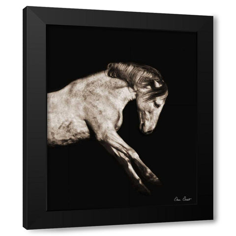 Horse Portrait IV Black Modern Wood Framed Art Print with Double Matting by Drost, David