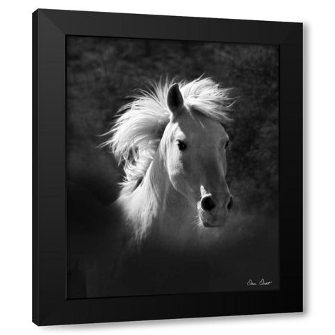 Horse Portrait V Black Modern Wood Framed Art Print with Double Matting by Drost, David