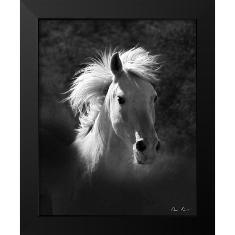 Horse Portrait V Black Modern Wood Framed Art Print by Drost, David