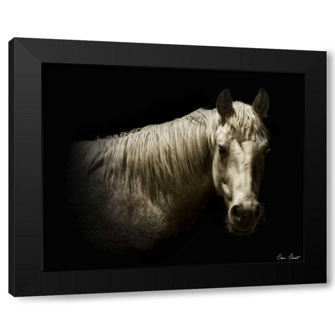 Horse Portrait VI Black Modern Wood Framed Art Print with Double Matting by Drost, David