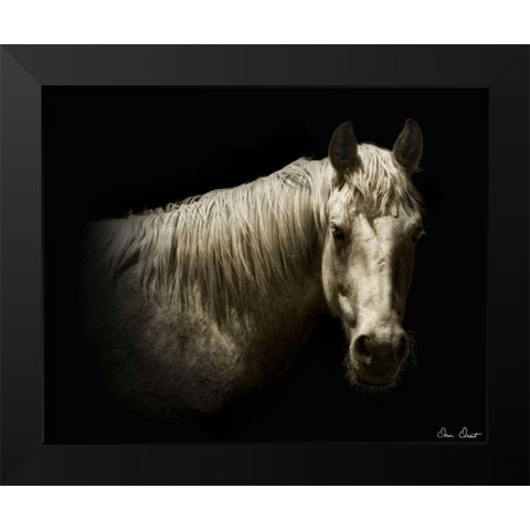 Horse Portrait VI Black Modern Wood Framed Art Print by Drost, David