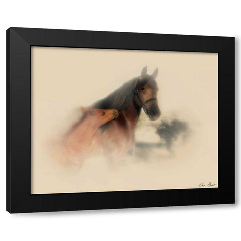 Horse Portrait X Black Modern Wood Framed Art Print with Double Matting by Drost, David