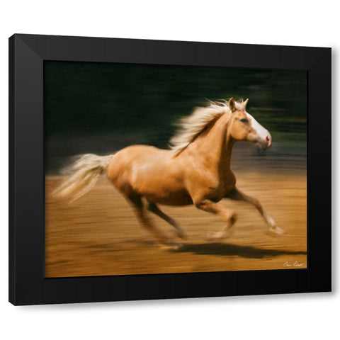 Blazing Horse I Black Modern Wood Framed Art Print with Double Matting by Drost, David