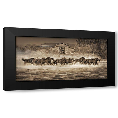 Custom A Dozen Quarters (ASH) Black Modern Wood Framed Art Print with Double Matting by Drost, David