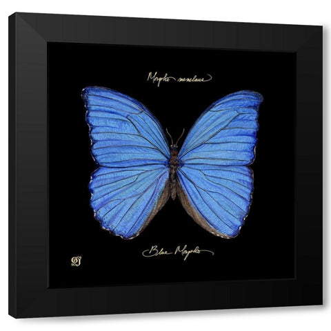 Striking Butterfly I Black Modern Wood Framed Art Print with Double Matting by Joyner, Ginny
