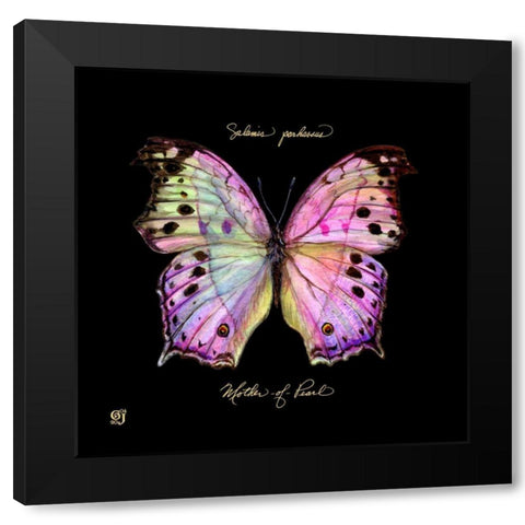 Striking Butterfly III Black Modern Wood Framed Art Print with Double Matting by Joyner, Ginny