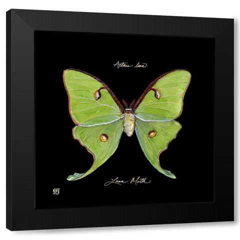 Striking Butterfly IV Black Modern Wood Framed Art Print by Joyner, Ginny