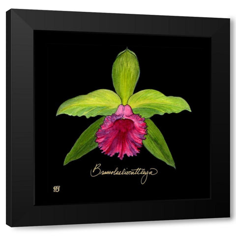Vivid Orchid I Black Modern Wood Framed Art Print by Joyner, Ginny