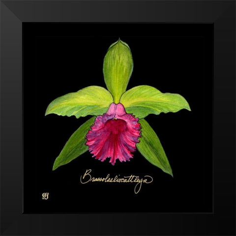 Vivid Orchid I Black Modern Wood Framed Art Print by Joyner, Ginny