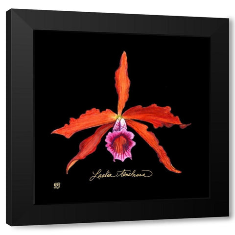 Vivid Orchid II Black Modern Wood Framed Art Print by Joyner, Ginny