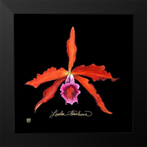 Vivid Orchid II Black Modern Wood Framed Art Print by Joyner, Ginny