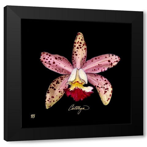 Vivid Orchid III Black Modern Wood Framed Art Print by Joyner, Ginny