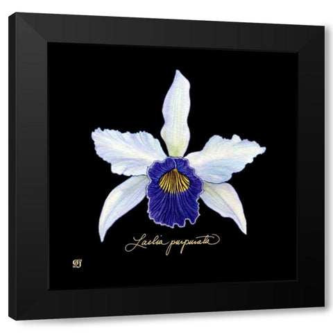 Vivid Orchid IV Black Modern Wood Framed Art Print by Joyner, Ginny