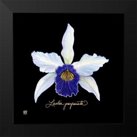 Vivid Orchid IV Black Modern Wood Framed Art Print by Joyner, Ginny