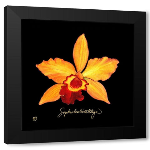 Vivid Orchid VI Black Modern Wood Framed Art Print by Joyner, Ginny