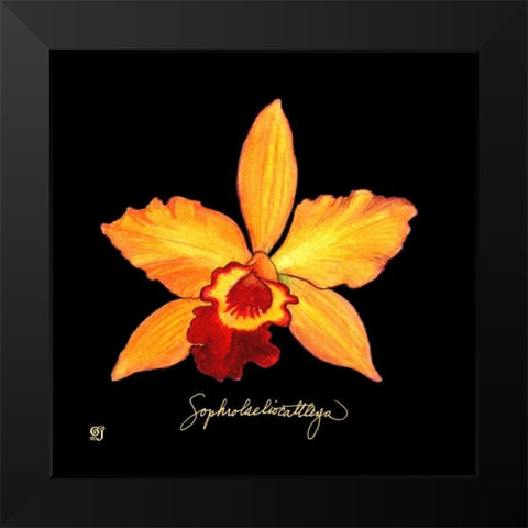 Vivid Orchid VI Black Modern Wood Framed Art Print by Joyner, Ginny