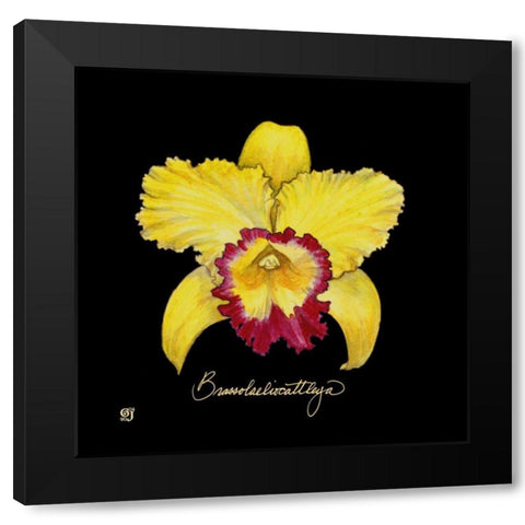 Vivid Orchid VII Black Modern Wood Framed Art Print with Double Matting by Joyner, Ginny