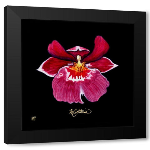 Vivid Orchid VIII Black Modern Wood Framed Art Print by Joyner, Ginny
