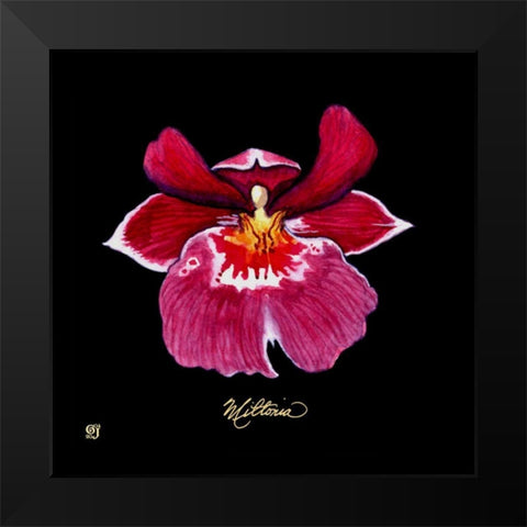 Vivid Orchid VIII Black Modern Wood Framed Art Print by Joyner, Ginny