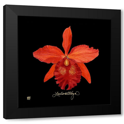 Vivid Orchid IX Black Modern Wood Framed Art Print by Joyner, Ginny