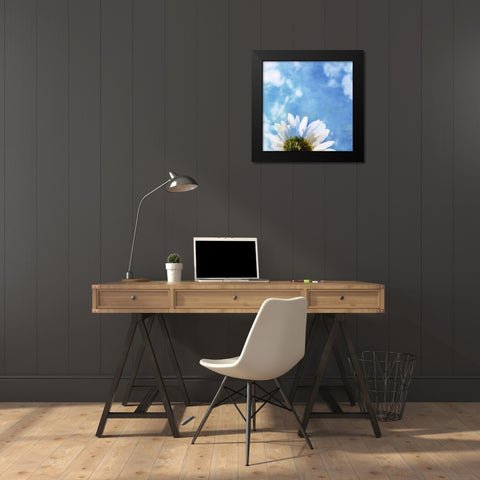 Daisies III Black Modern Wood Framed Art Print by Blixt, Ingrid