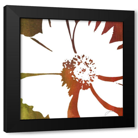 Peace Flowers III Black Modern Wood Framed Art Print with Double Matting by Burghardt, James