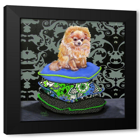 Pomeranian Pillows Black Modern Wood Framed Art Print with Double Matting by Dillon, Carol