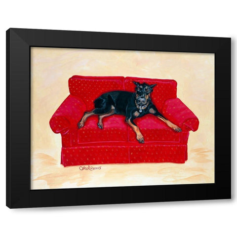 Dobie on Red Black Modern Wood Framed Art Print with Double Matting by Dillon, Carol